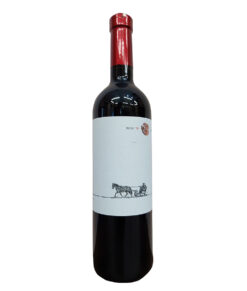 Chateau Rúbaň Frankovka Modrá 2020 0,75l 12,5 %