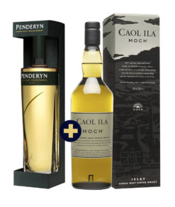 Penderyn Icons of Wales No. 11 Patagonia 0,7l 43%